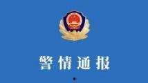 1024在线国产,构建国产软件新格局